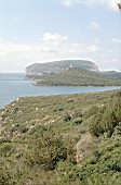 Capocaccia peninsula